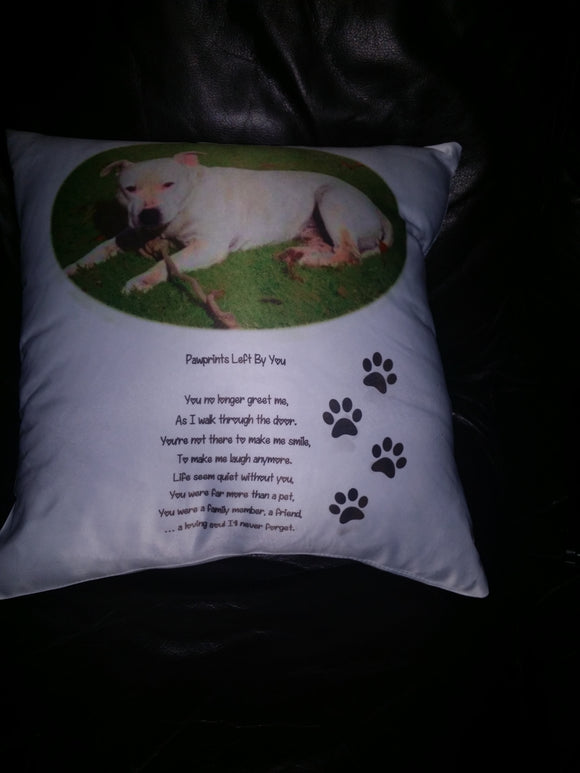 In memory of your pet cushion / Pillow