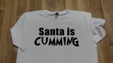 Adults Naughty Christmas t-shirts