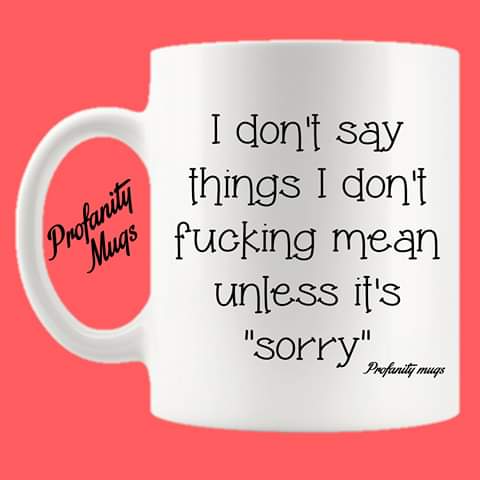 I don't say things I don't fucking mean Mug Design - Profanity Mugs