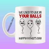 We Used To Live In Your Balls Mug Design - personalised
